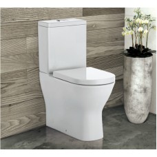 Fienza DELTA Rimless Back-to-Wall 