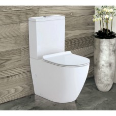 Fienza KOKO Skinny Seat Rimless Back-to-Wall  