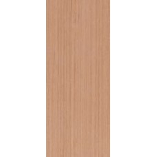 Flush Panel Doors -VEX
