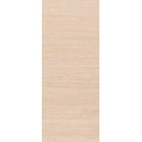 Flush Panel Doors - HMDF  