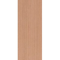 Flush Panel Doors - VMDF