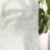 Rice Paper